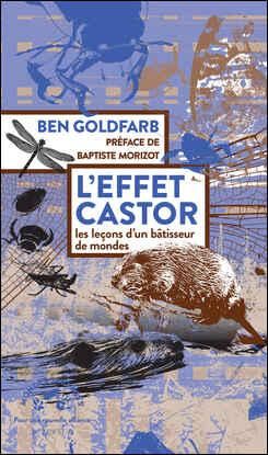 L'Effet castor