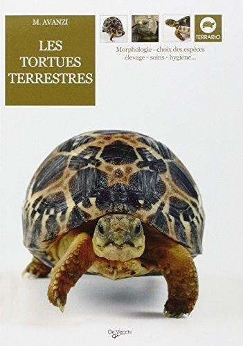 Les Tortues terrestres